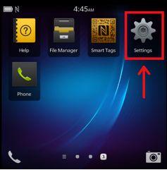 Blackberry Settings