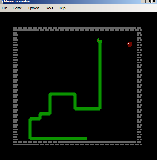 Figure 2: A typical snake game